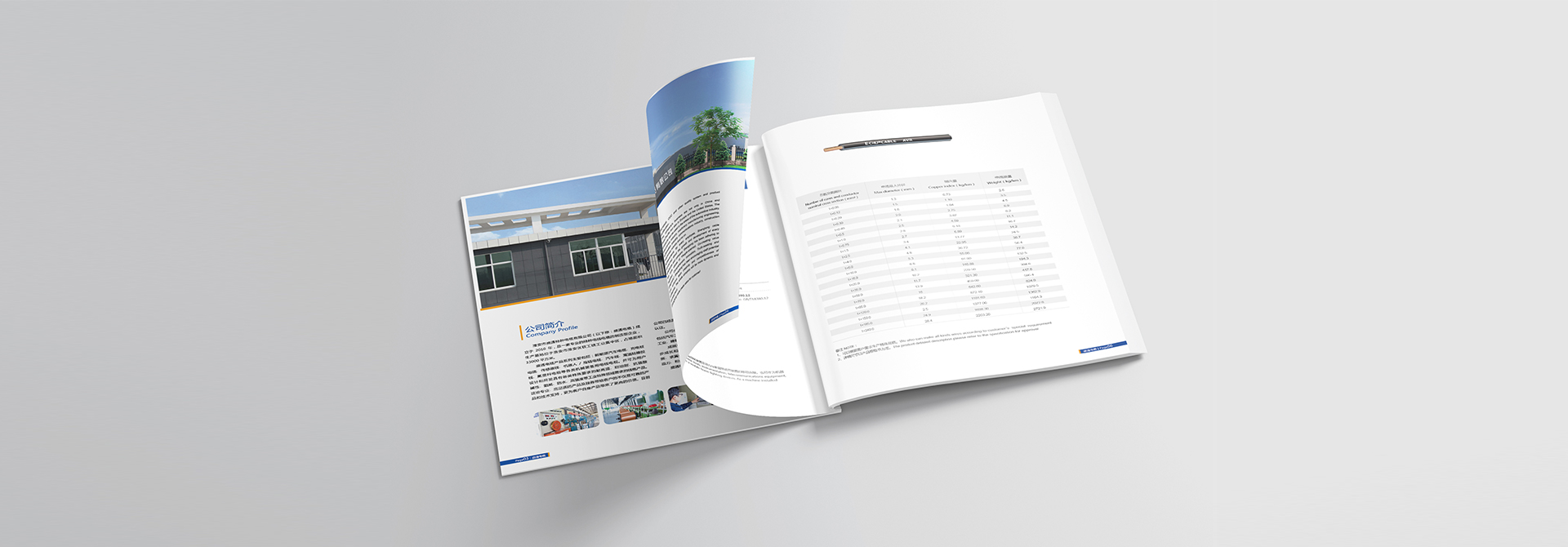 品牌設計，vi設計，logo設計，廣告設計，平面設計