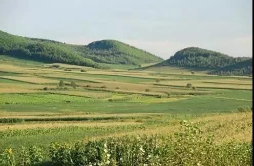 1561533577875144.jpg 辣北鼻5.jpg