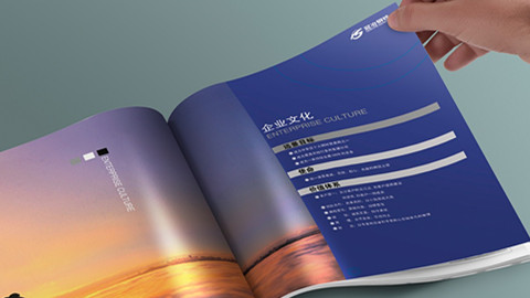 品牌設計，品牌策劃，品牌咨詢，品牌創意，vi設計，logo設計，廣告設計，畫冊設計